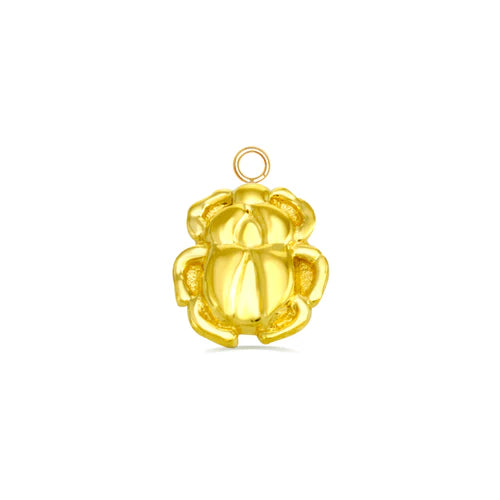 Beetle Charm from Norvoch