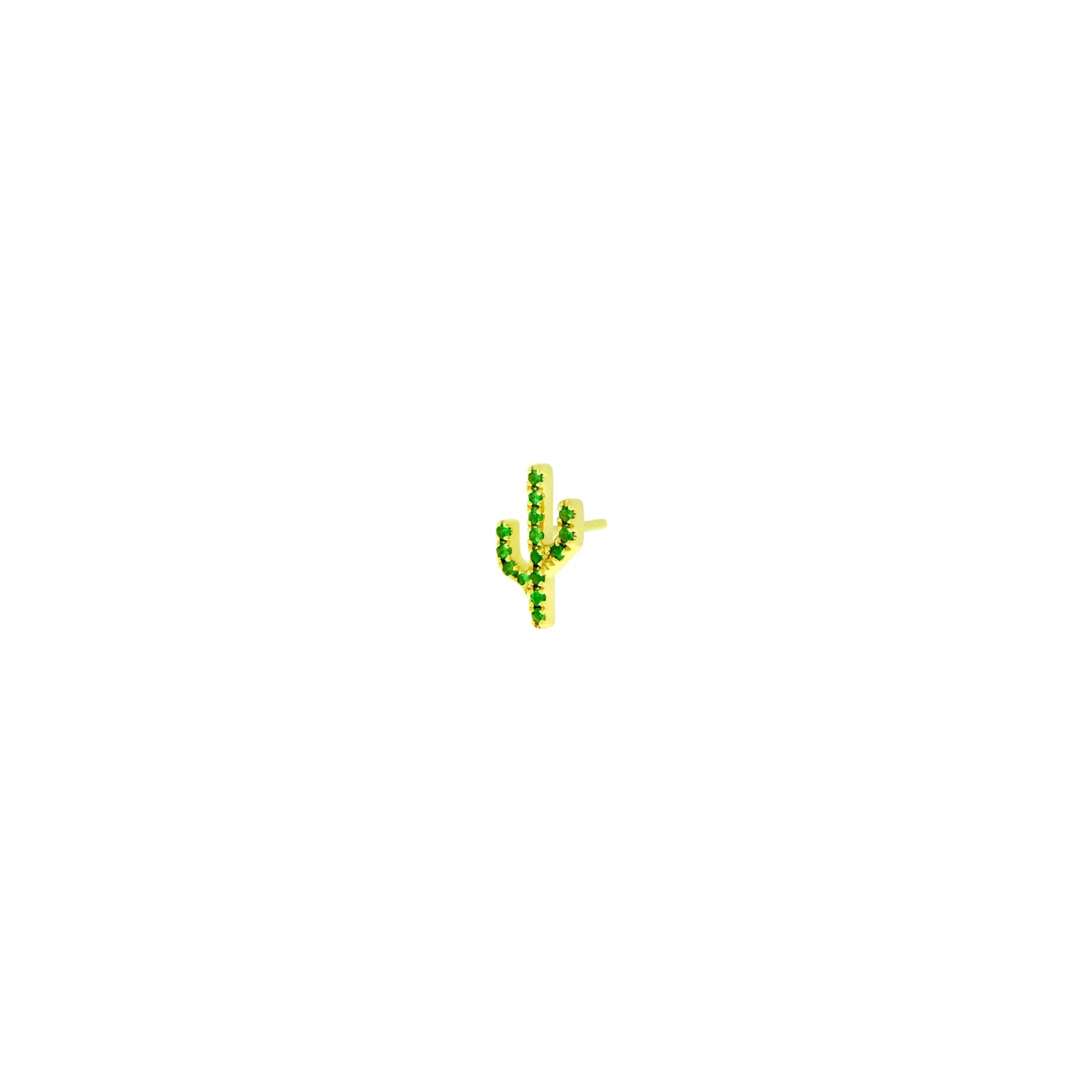 Cactus - Sonoran from Modern Mood