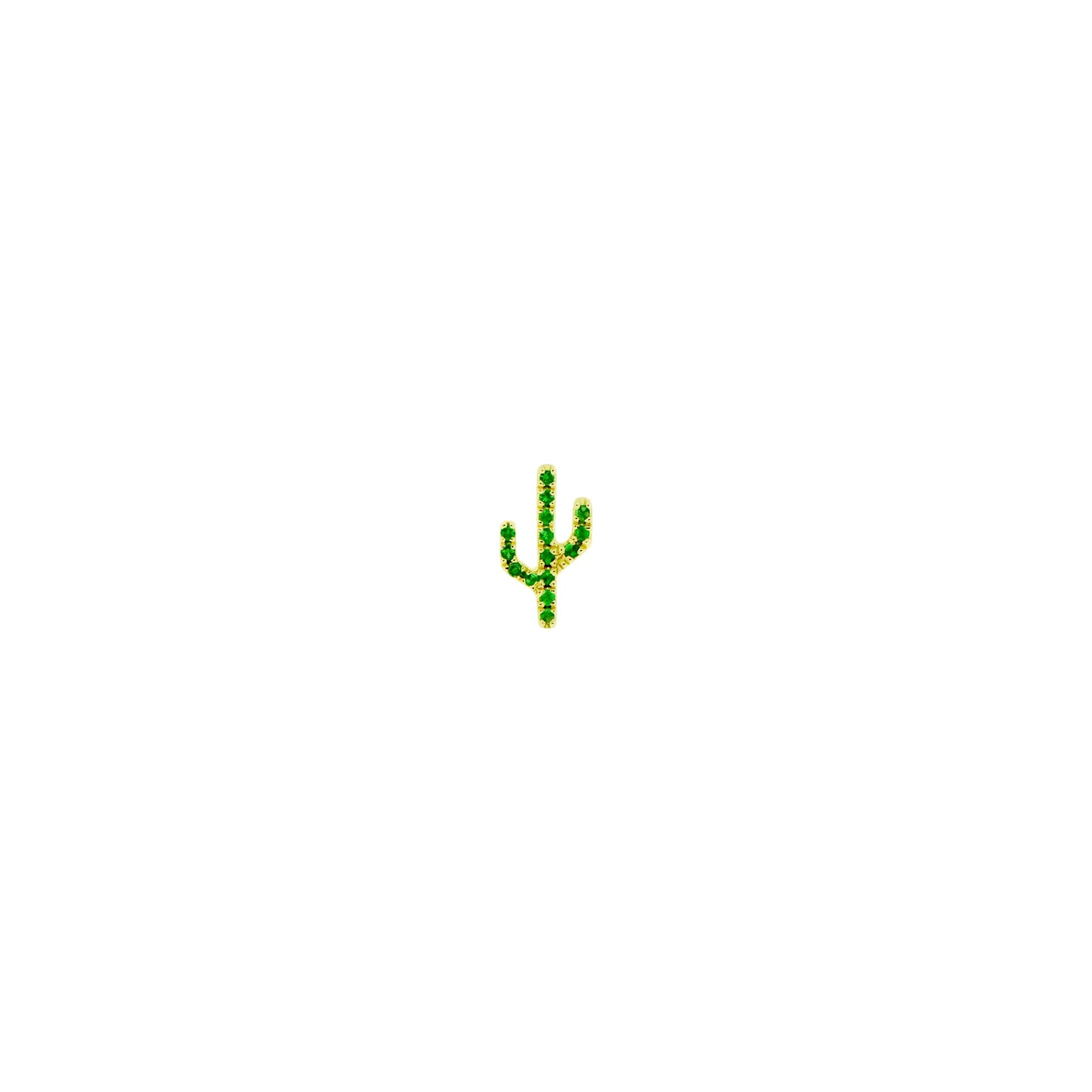 Cactus - Sonoran from Modern Mood