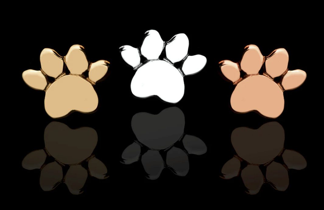 Dog Paw from Junipurr