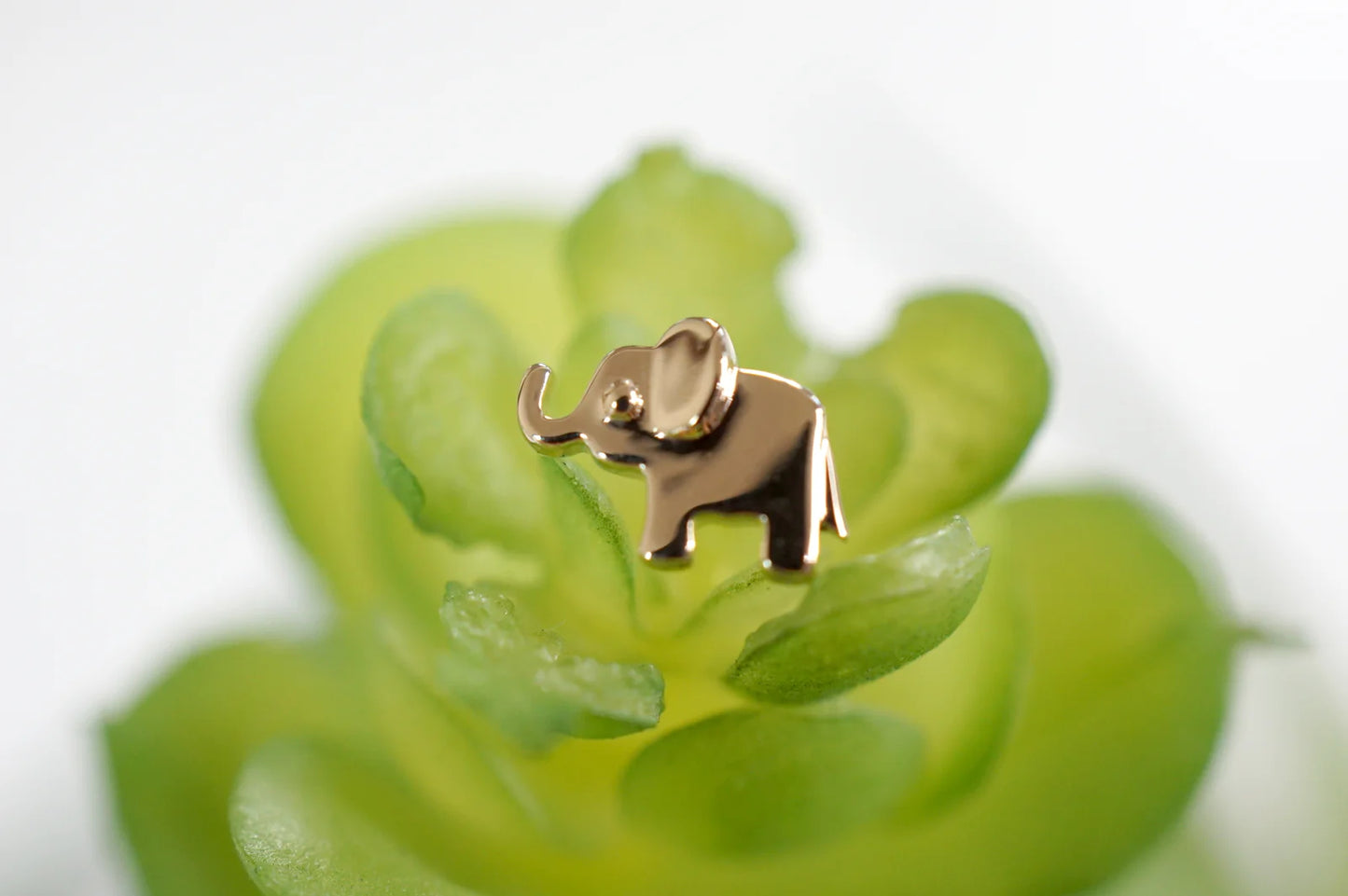 Ollie The Baby Elephant from Modern Mood