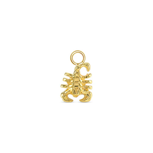 Scorpion Charm from Norvoch