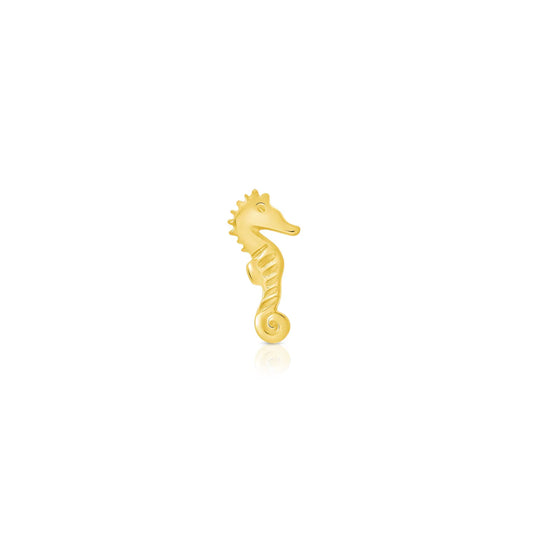 Sea Horse from Norvoch