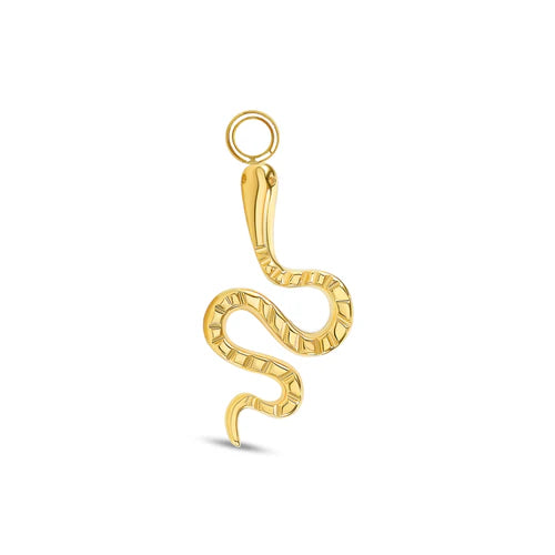 Snake Charm from Norvoch