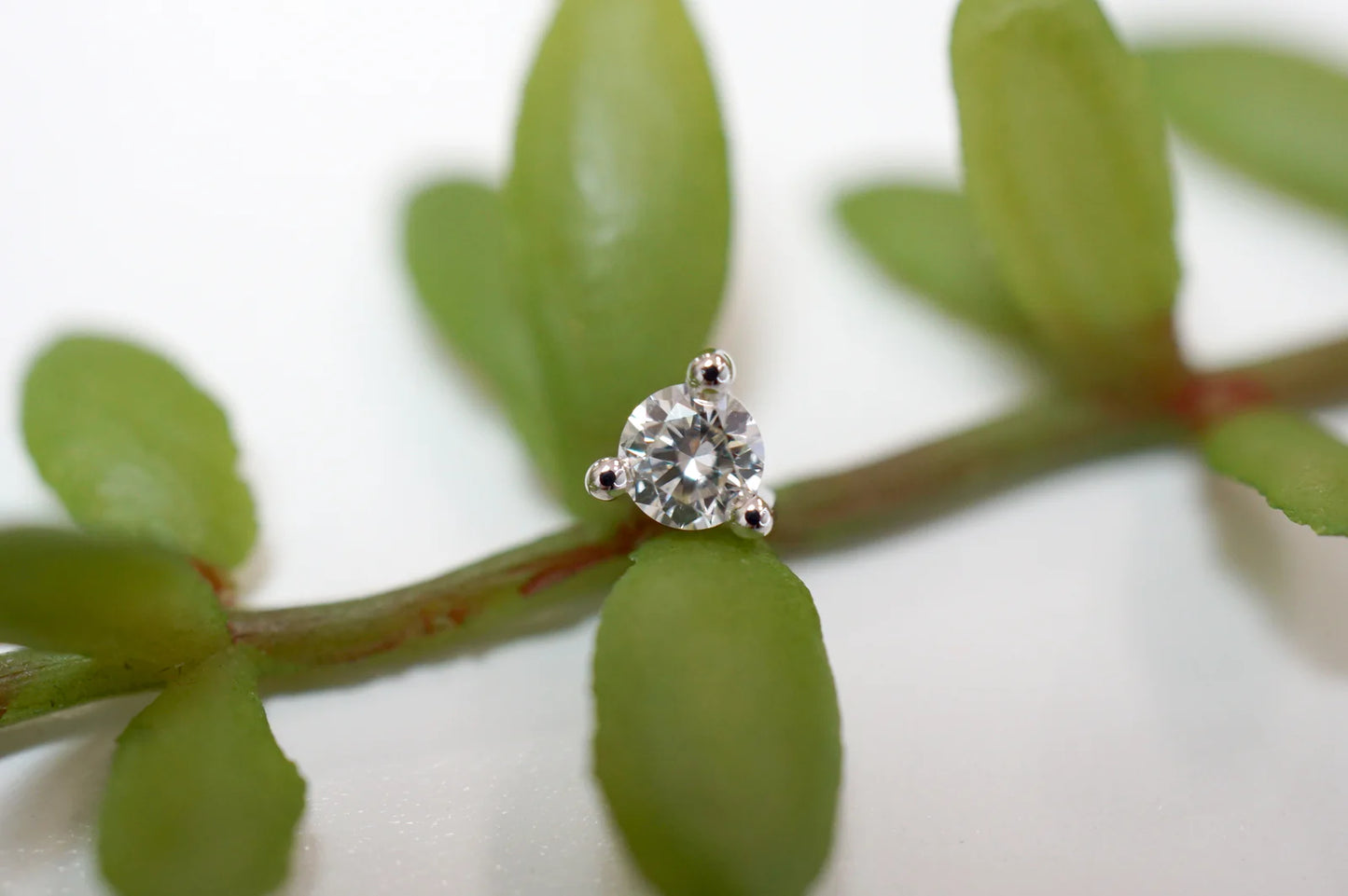 Solitaire - Gia - 3 Prong Diamond from Modern Mood