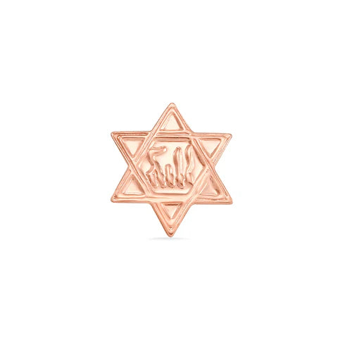 Star of David from Norvoch